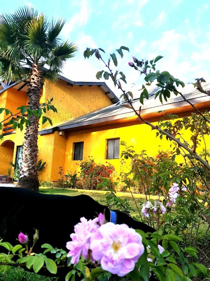 Casa Felice Pensionat La Serena Exteriör bild
