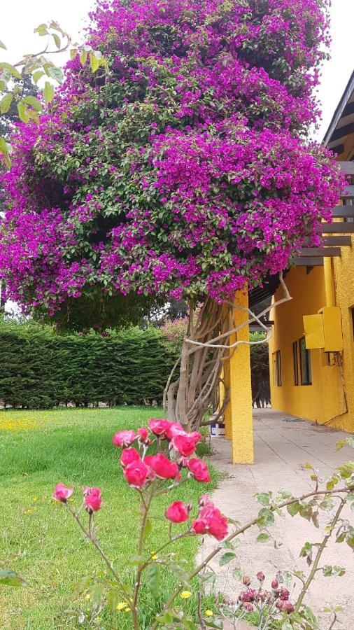 Casa Felice Pensionat La Serena Exteriör bild