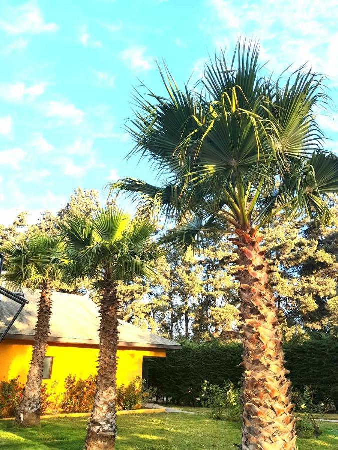 Casa Felice Pensionat La Serena Exteriör bild