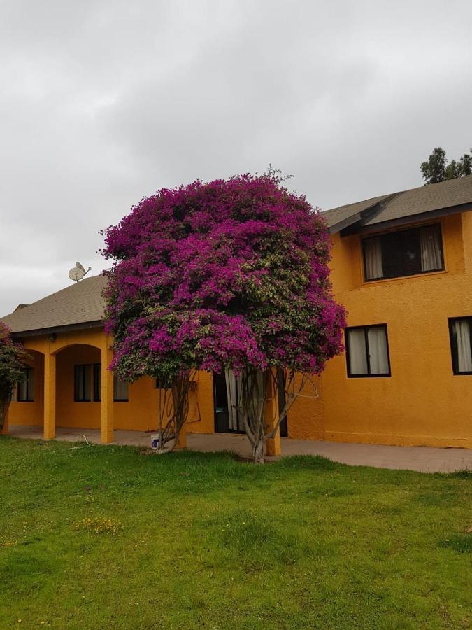 Casa Felice Pensionat La Serena Exteriör bild
