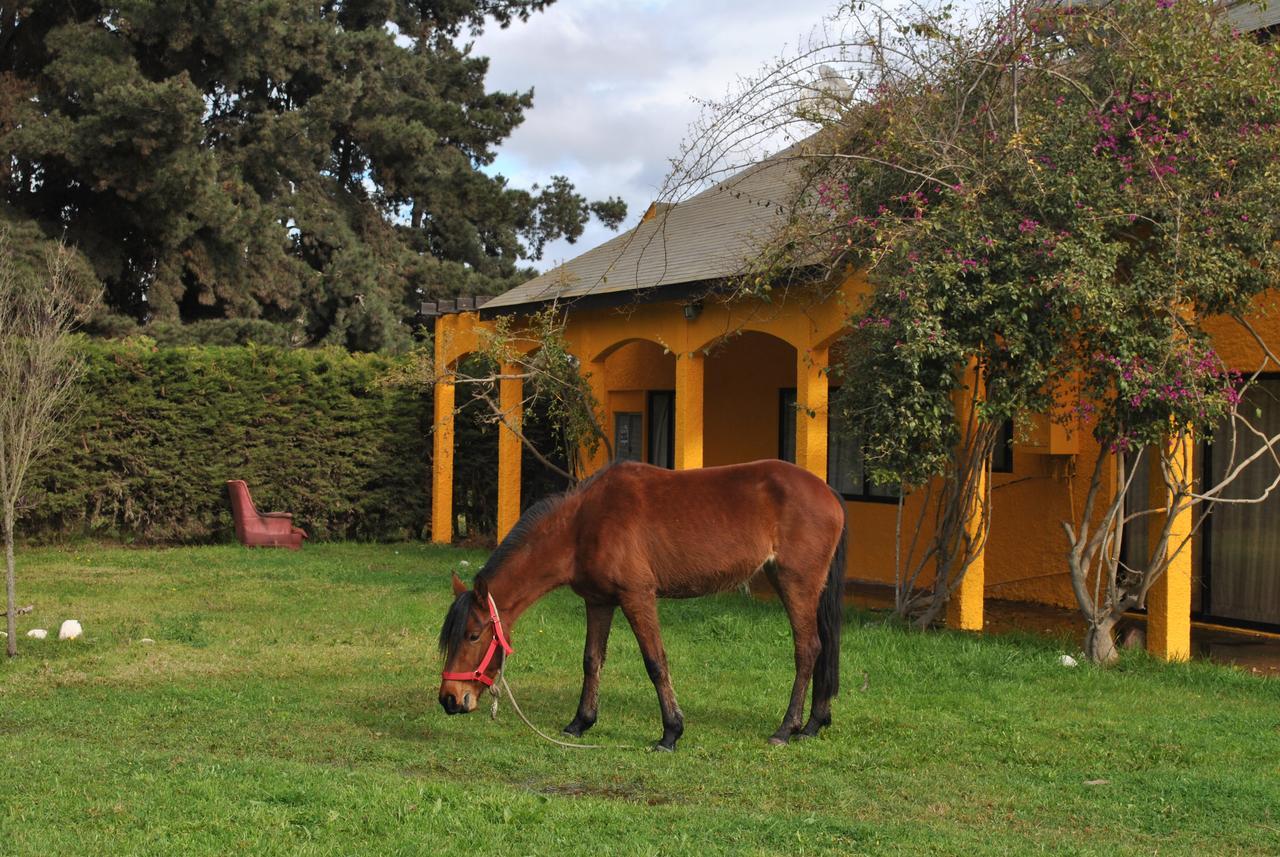 Casa Felice Pensionat La Serena Exteriör bild