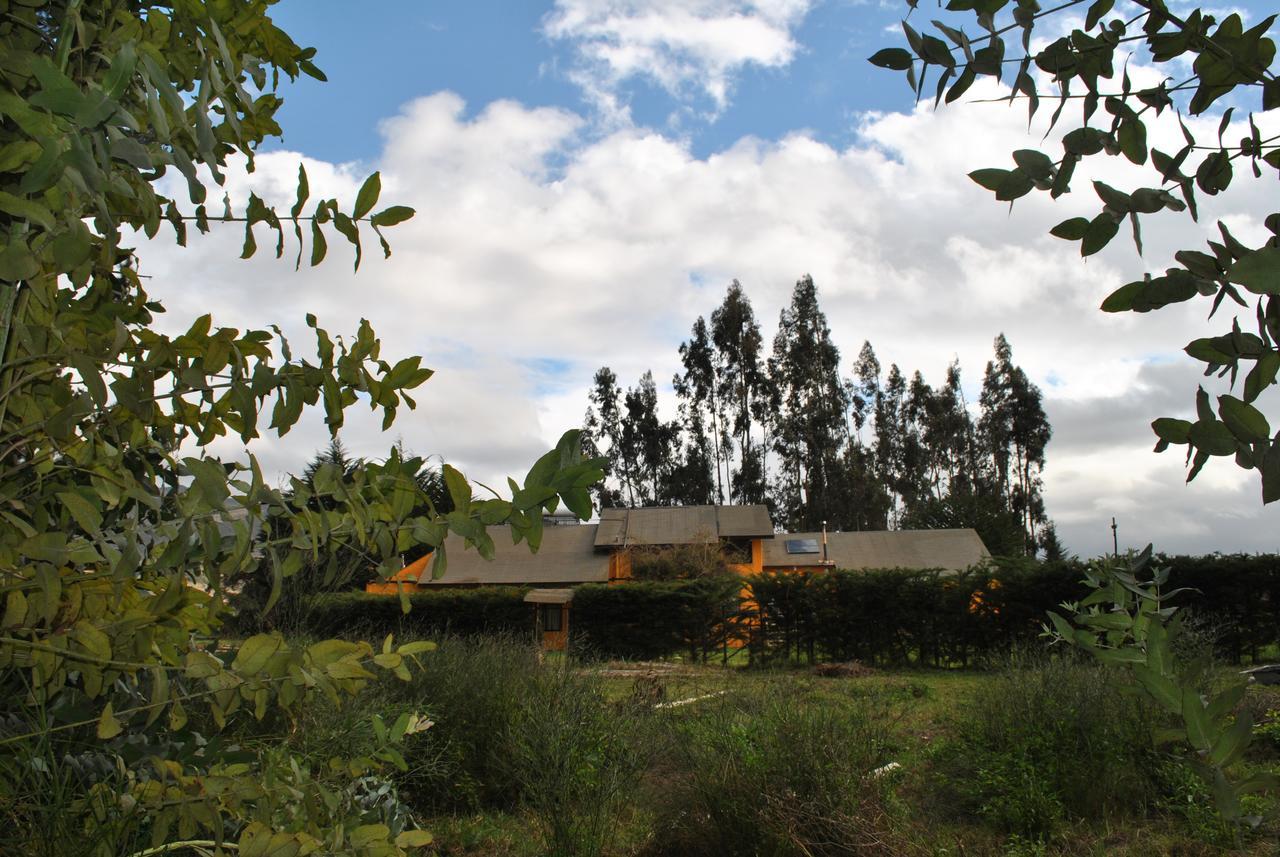 Casa Felice Pensionat La Serena Exteriör bild
